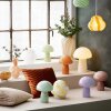 COZY LIVING - MUSHROOM LAMPE 23 CM | MINT