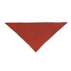 LALA BERLIN - TRIANGLE SOLID LOGO | BRICK RED