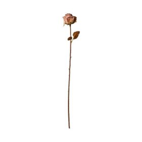 SPEEDTSBERG - ROSE STILK 75 CM - LYS ROSE