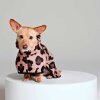 RAINKISS - REGNPONCHO TIL HUND | PINK PANTHER