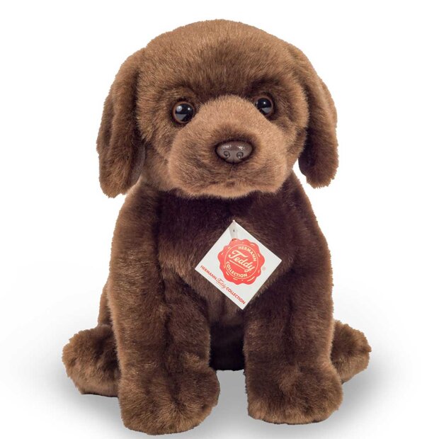 TEDDY HERMANN - SIDDENDE LABRADOR BRUN 25 CM