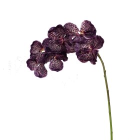 SPECKTRUM - KUNSTIGE BLOMSTER - ORCHID BURGUNDY 79 CM