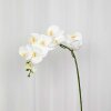 SPECKTRUM - KUNSTIGE BLOMNSTER - ORCHID HVID 95 CM