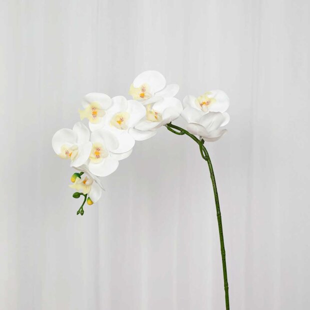 SPECKTRUM - KUNSTIGE BLOMNSTER - ORCHID HVID 95 CM