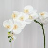 SPECKTRUM - KUNSTIGE BLOMNSTER - ORCHID HVID 95 CM