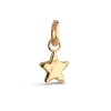 ENAMEL COPENHAGEN - CHARM - FORGYLDT | STAR ENERGY