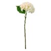 SPEEDTSBERG - HORTENSIA STILK 48 CM -  HVID