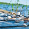 SPEEDTSBERG - SKALLER I POSE - NATUR