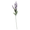 SPEEDTSBERG - LAVENDEL STILK 80 CM - LILLA