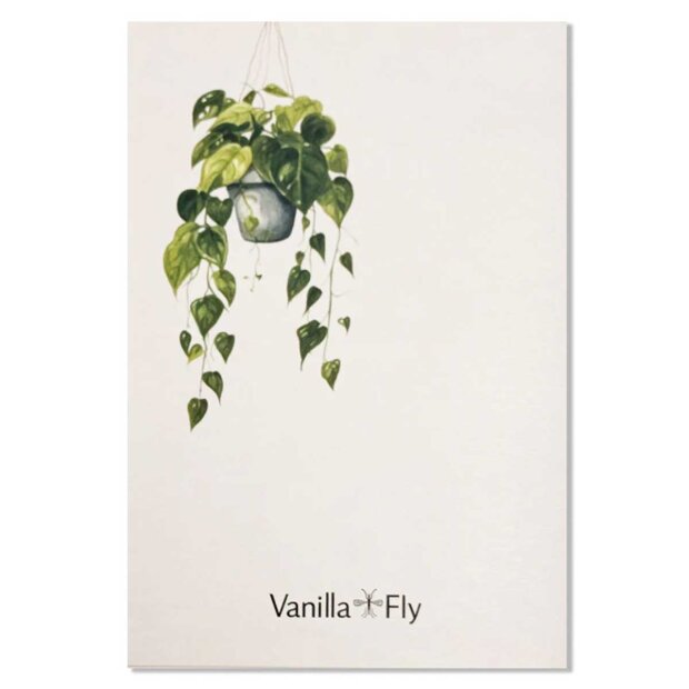 VANILLA FLY - LYKØNSKNINGSKORT 13X9 CM | LOVE THE WAY YOU ARE